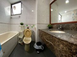 Parc Oasis (D22), Condominium #558525511